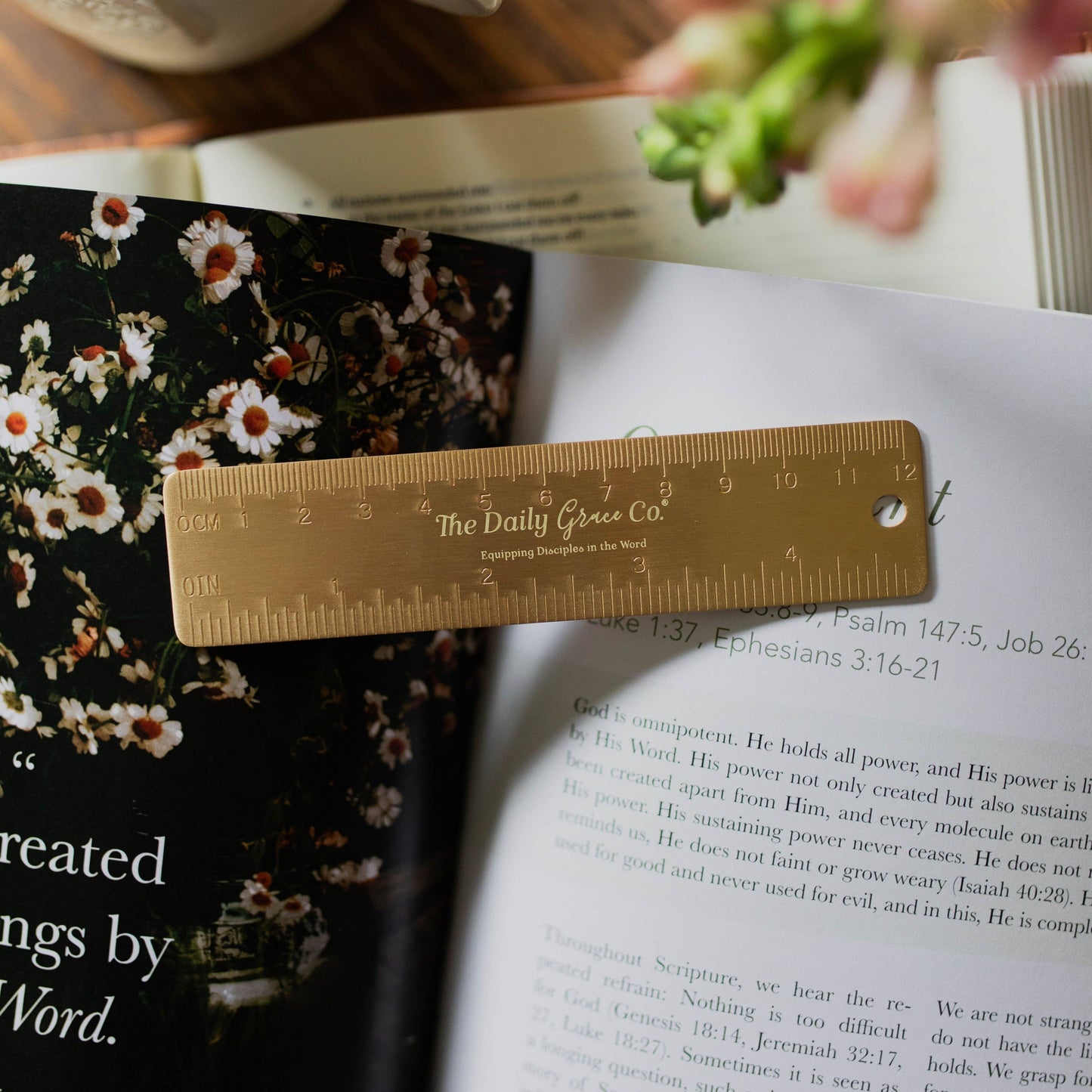 Brass Ruler -Measure with Grace