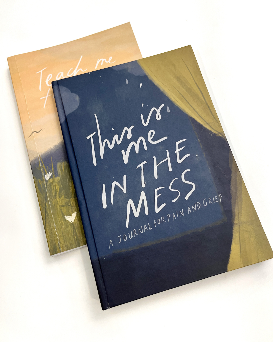 Lament Journal— This is Me in the Mess