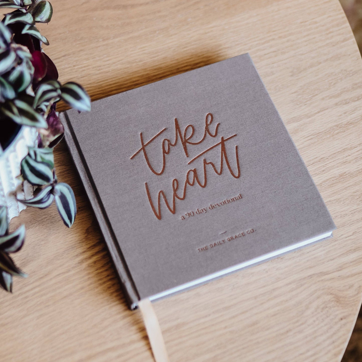 Take Heart - | A 90-Day Devotional